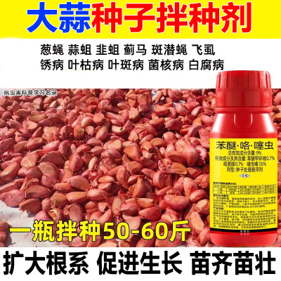 大蒜农用拌种剂苯醚咯噻虫地下害虫地蛆蚜虫锈病根腐病小麦种衣剂