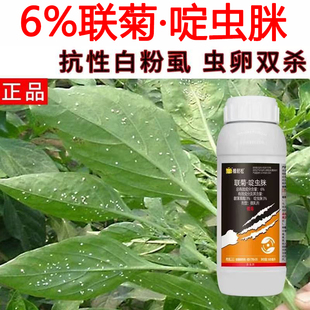 联菊啶虫脒杀虫剂白粉虱药白飞虱蚜虫跳甲虫蓟马小黑飞花卉