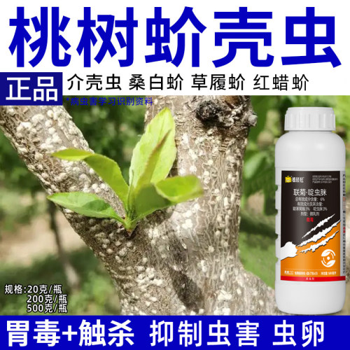 桃树蚧壳虫杀虫剂桑白蚧草履蚧抑制虫害虫卵联菊啶虫脒杀虫剂