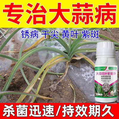 大蒜杀菌专用黄叶根干尖病