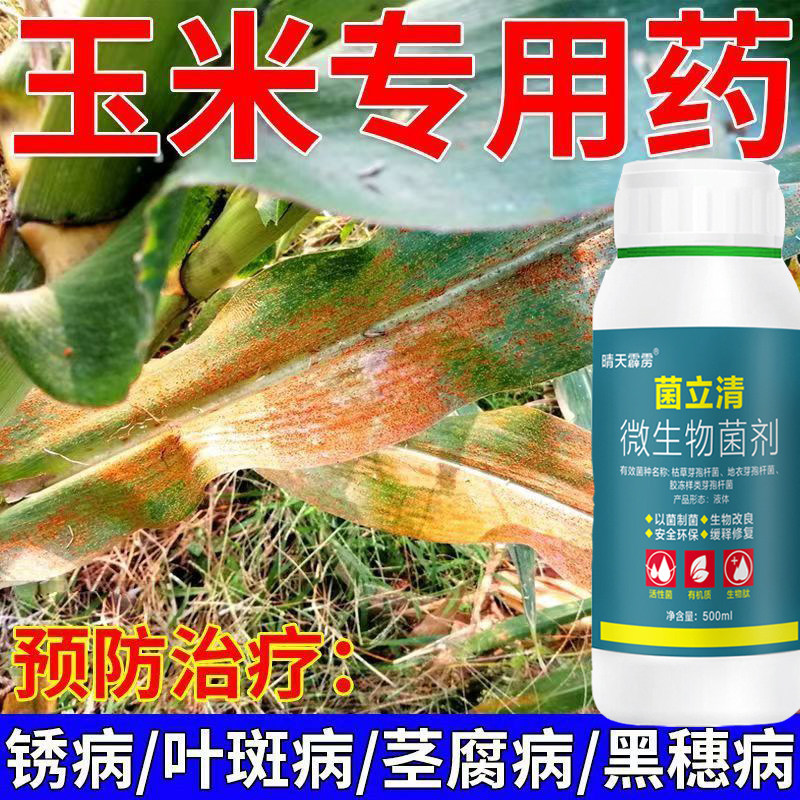 玉米专用药玉米红叶病叶斑病粗缩病青枯病枯萎病黑穗病微生物菌剂