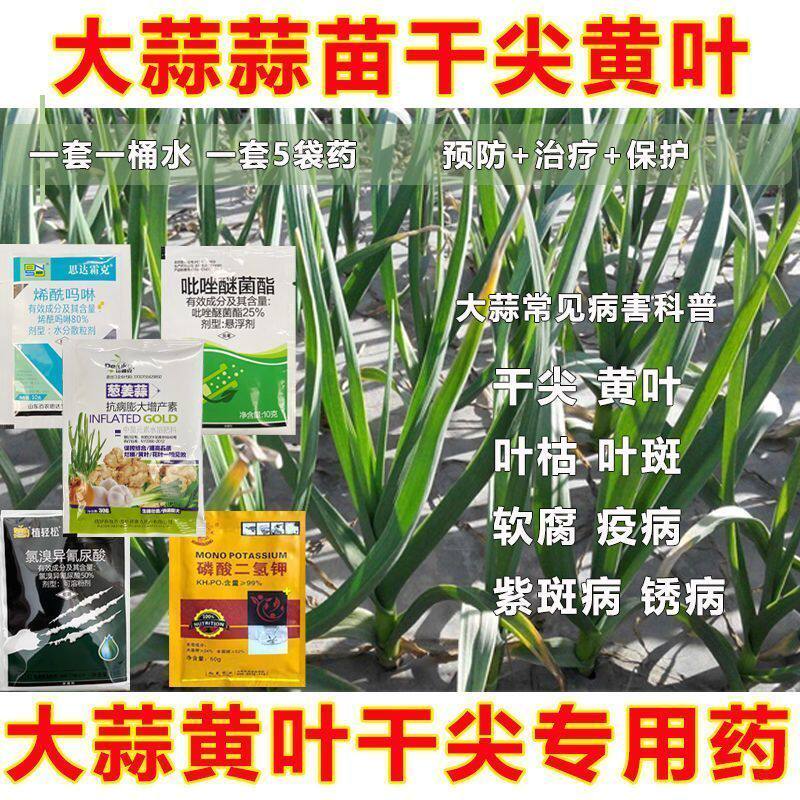 大蒜专用药大蒜病害套餐专用大蒜黄叶烂根干尖锈病叶枯病生长缓慢