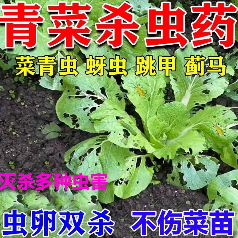 青菜农用杀虫药甲维虫螨腈蔬菜农药食心虫跳甲蚜虫蓟马青虫杀虫剂
