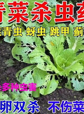 青菜杀虫药卷叶虫蚜虫红蜘蛛杀虫杀卵高效氯氟氰菊酯杀虫剂农药