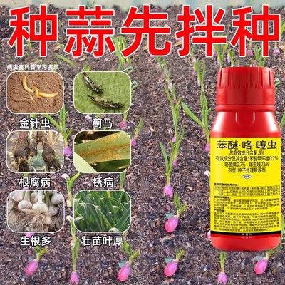 大蒜种子拌种剂苯醚咯噻虫地蛆蒜蛆根腐病菌包衣浸种衣剂农药