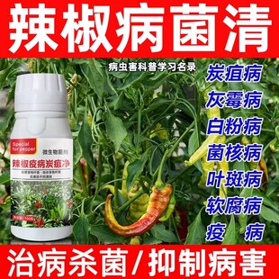 辣椒病菌清杀菌剂辣椒真菌细菌炭疽病灰霉霜霉早晚疫病杀菌剂