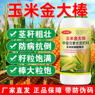 玉米水溶肥玉米金大棒籽粒饱满茎秆粗壮促根壮苗不秃尖棒大粒饱