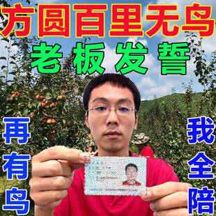 速发驱鸟药田果园防鸟驱鸟户外新型稻袋高效香鸟专用神器驱赶剂驱