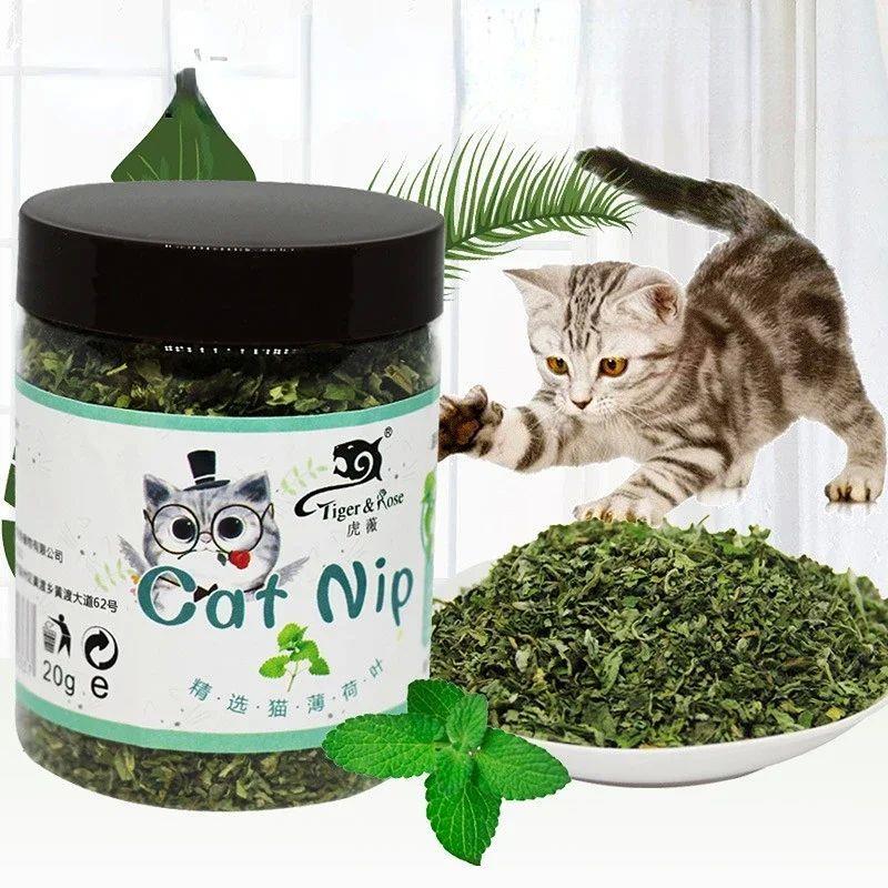 Organic 100% Natural High Quality Catnip Cattle Grass Mint