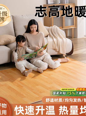 志高地暖垫客厅石墨烯加热垫地热垫电热发热地毯家用电褥子垫子冬