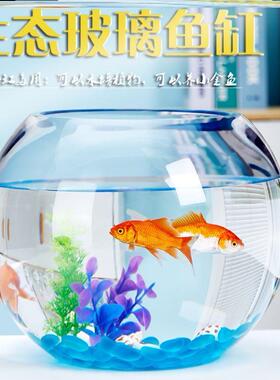 Super white aquarium glass fish box fish tank