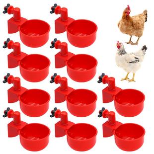 Poultry Drinker Water Pcs Cup Bird Automatic Chicken Bowl