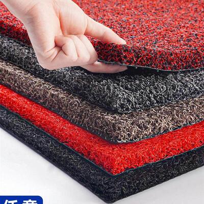 Floor Mat Entrance Doormat Floor Rug Anti-slip Door Mat