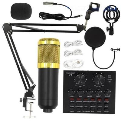 Bm800 condenser microphone + V8 sound card computer recordin