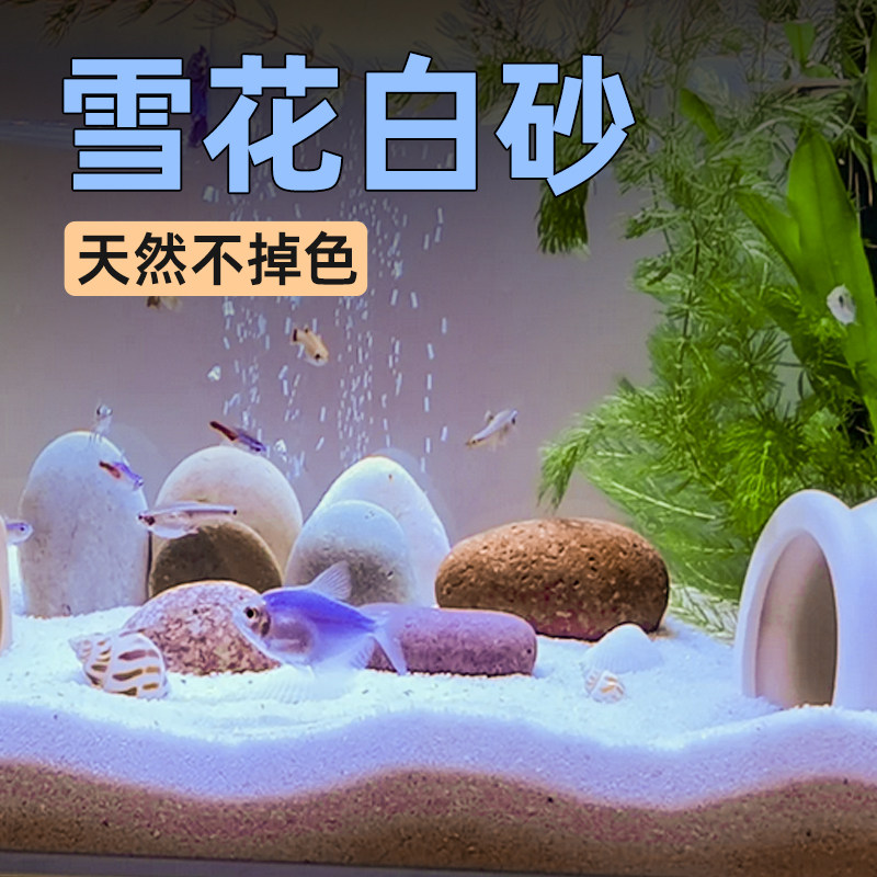 速发鱼缸白砂部石底沙石英砂水晶砂细沙子黄缘龟斗鱼水族盆景造景图片