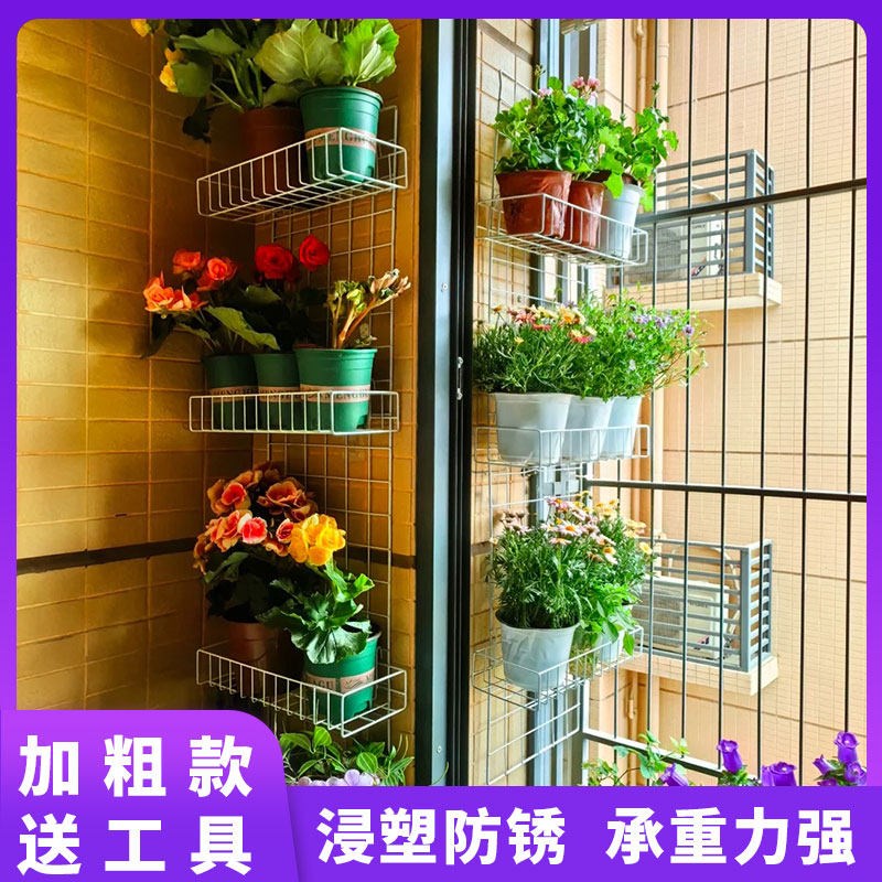 速发网格花架爬藤架植物支撑固定架蔷薇月季蝴蝶兰墙面挂网攀爬展