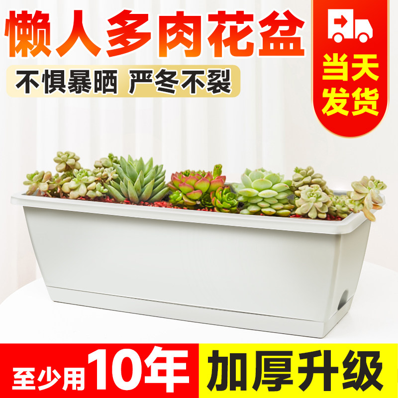 速发多肉花盆大口径种植盆长方形用栽盆室内台专盆塑料花盆带托盘