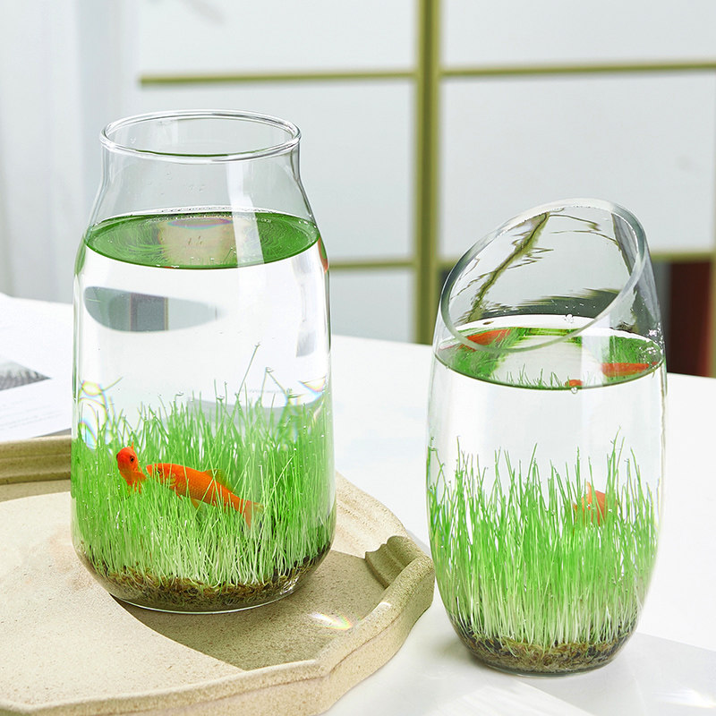 速发生8培2个.态小鱼缸微景观四季水元植物草玻璃插花瓶创意摆件