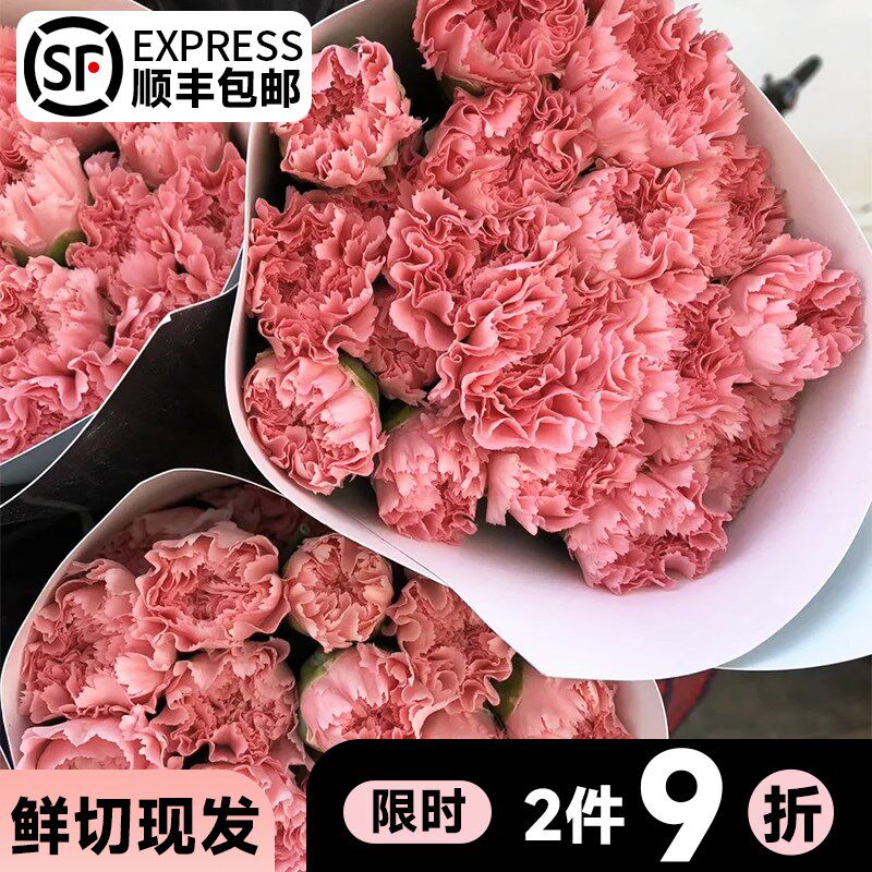 速发康鲜馨乃南基地直发多头云切花真花次日达母亲节花束