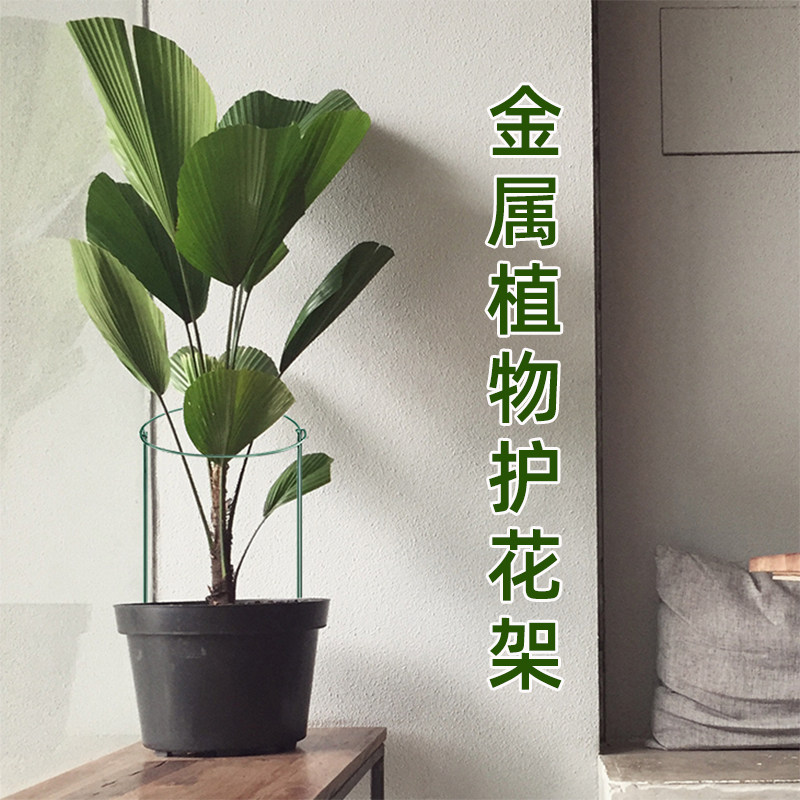 速发花撑支架护花架绑花支架防倒支撑固定半圆支撑杆爬藤植物支架