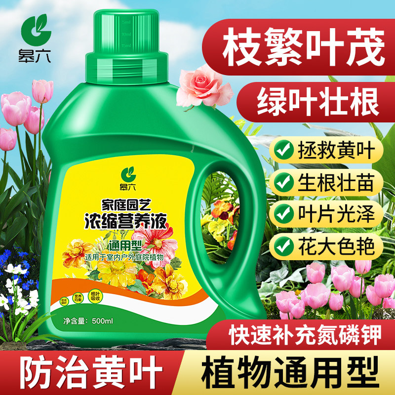 速发营养绿植物养用型液萝多肉僵苗黄叶急救水培通花卉绿植盆栽花