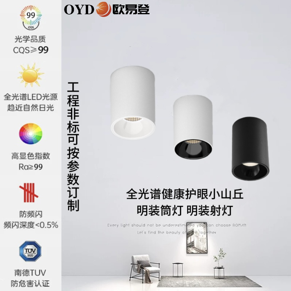 明装筒灯客厅餐厅LED可订制工装