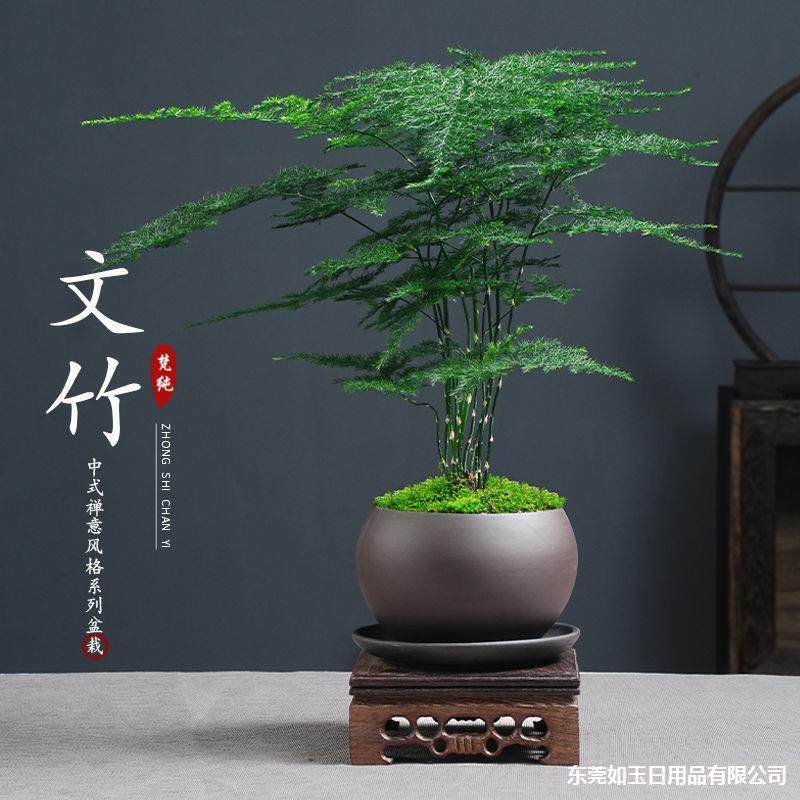 小盆景哥窑透气花盆桌面陶瓷小叶赤楠文竹紫砂盆创意蝴蝶兰绿植盆