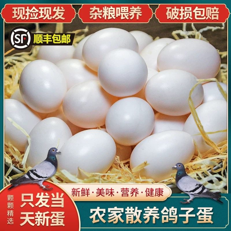 鸽子蛋新鲜30枚农家散养正宗生鲜纯正特级个装五谷杂粮白鸽鲜鸽蛋,水产肉类/新鲜蔬果/熟食,鸽蛋,淘宝优惠券,粉丝福利购,淘宝优惠卷