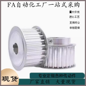 同步轮HTPA30S5M250-B-P8 P10 P12 P12.7 P14 P15 P16 P17 P18