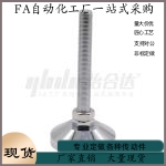 BZS01 10020150 固定调节型 重载型脚杯 金属 橡胶底座型