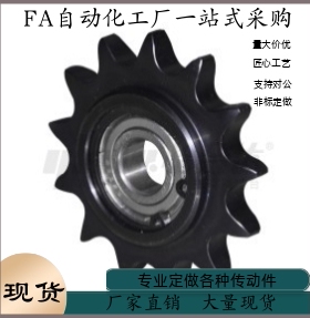 链轮VLS01-06B 08B-16 18 21 25 13 15 17 19-d10 d12 d15 d17 d2