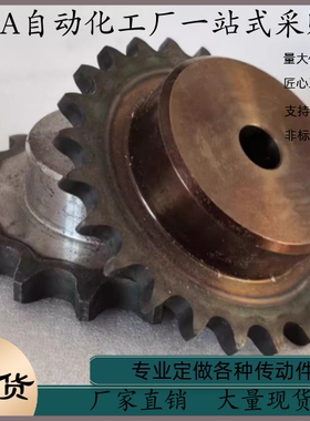 链轮 BSP SSP SP60B9 10 11 12-S N-19 20 22 24 25 28 30 32 35