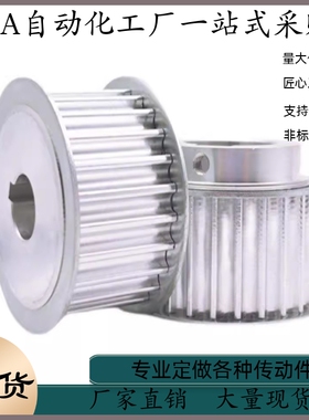 同步轮HTPA48S5M100-A-P12 P12.7 P14 P15 P16 P17 P18 P19 P20