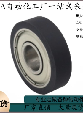 包胶轴承BTLC-A3 A4 A5 A6 A8 A10-D12 D13 D16 D20 D28 D30 D40