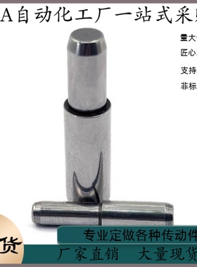 BLY01-D5 D6 D8 D10 D13-L15 L20 L25 L30 L35 L40 L45 L55定位销