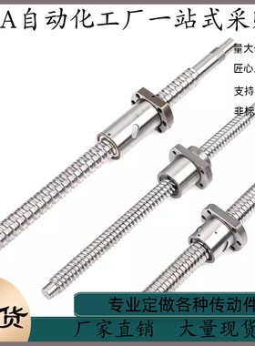 滚珠丝杠 LCB67-6-1-L80 L100 L120 L150 L200 L220 L250 L280