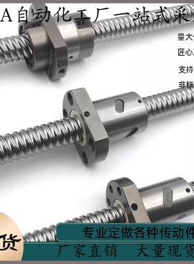 滚珠丝杠 LCS29-20-5 10-L600 L700-F20 F25 F30 F36-P8 P10 P12