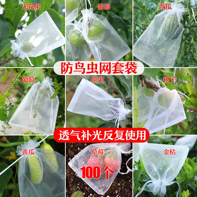 速发果树防虫网袋子鸟纱网袋保护葡萄无袋花果番石榴草莓套袋桃防
