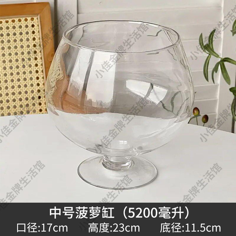 速发泡菠萝专用缸透明展示盒子商用水果店摆摊卖装盐水菠萝的玻璃
