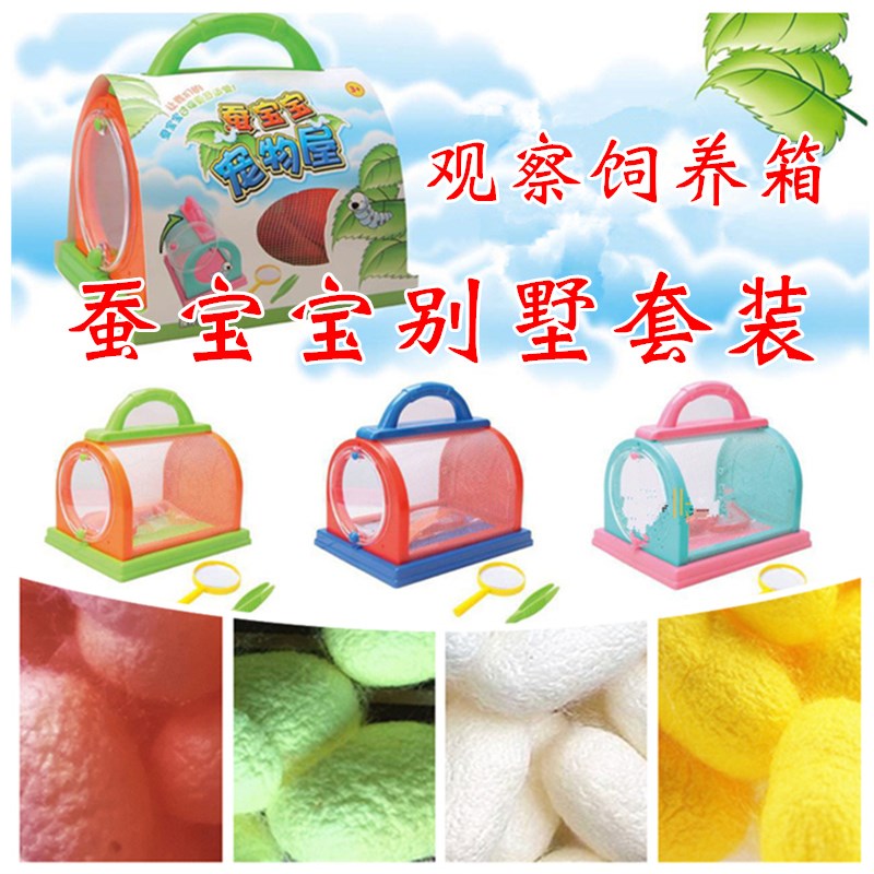 速发蚕宝宝别墅观察饲养箱套装全学生养蚕日记工具彩色活蚕吃桑叶
