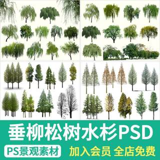 垂柳柳树松树水杉ps湿地滨水景观效果图背景配景乔木植物psd素材