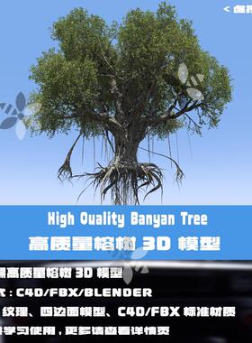 C4D高质量榕树3D模型古树大树FBX Blender树木3Dmax三维素材