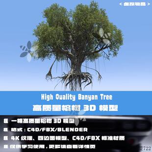 C4D高质量榕树3D模型古树大树FBX Blender树木3Dmax三维素材