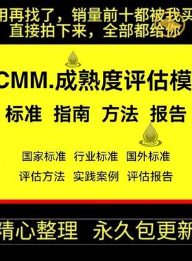 DCMM成熟度评估模型DAMA国内外标准指南实践方案评估报告模板