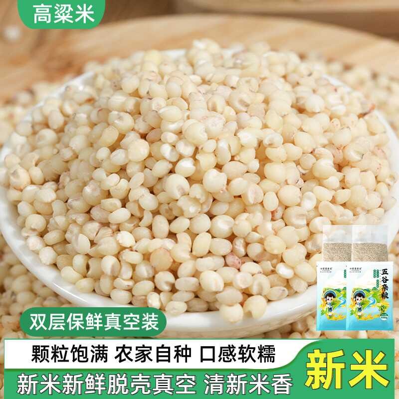 粘糯高粱米新米农家自种