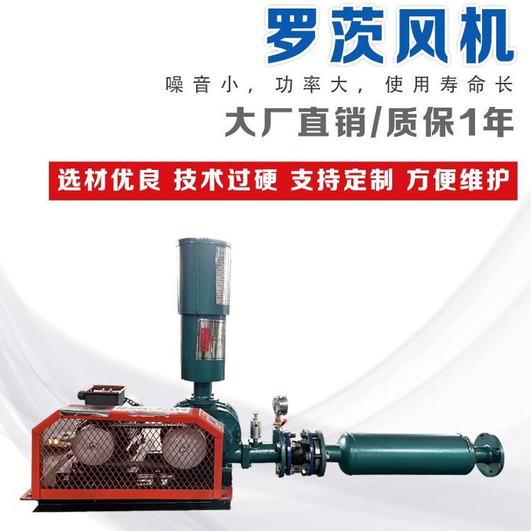厂家生产罗茨风机电厂污水处理水产养殖增氧大功率低噪音罗茨风机