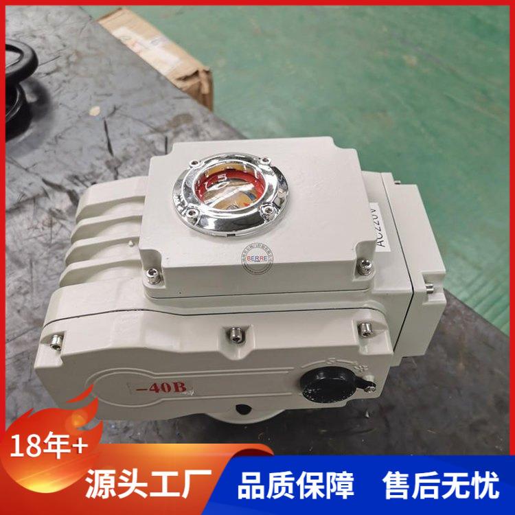 DY-10无源型精小型电动执行器100NM精巧型