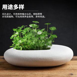 陶瓷家居摆件无孔创意绿萝家用花器花瓶盆 铜钱草水培花盆简约个性