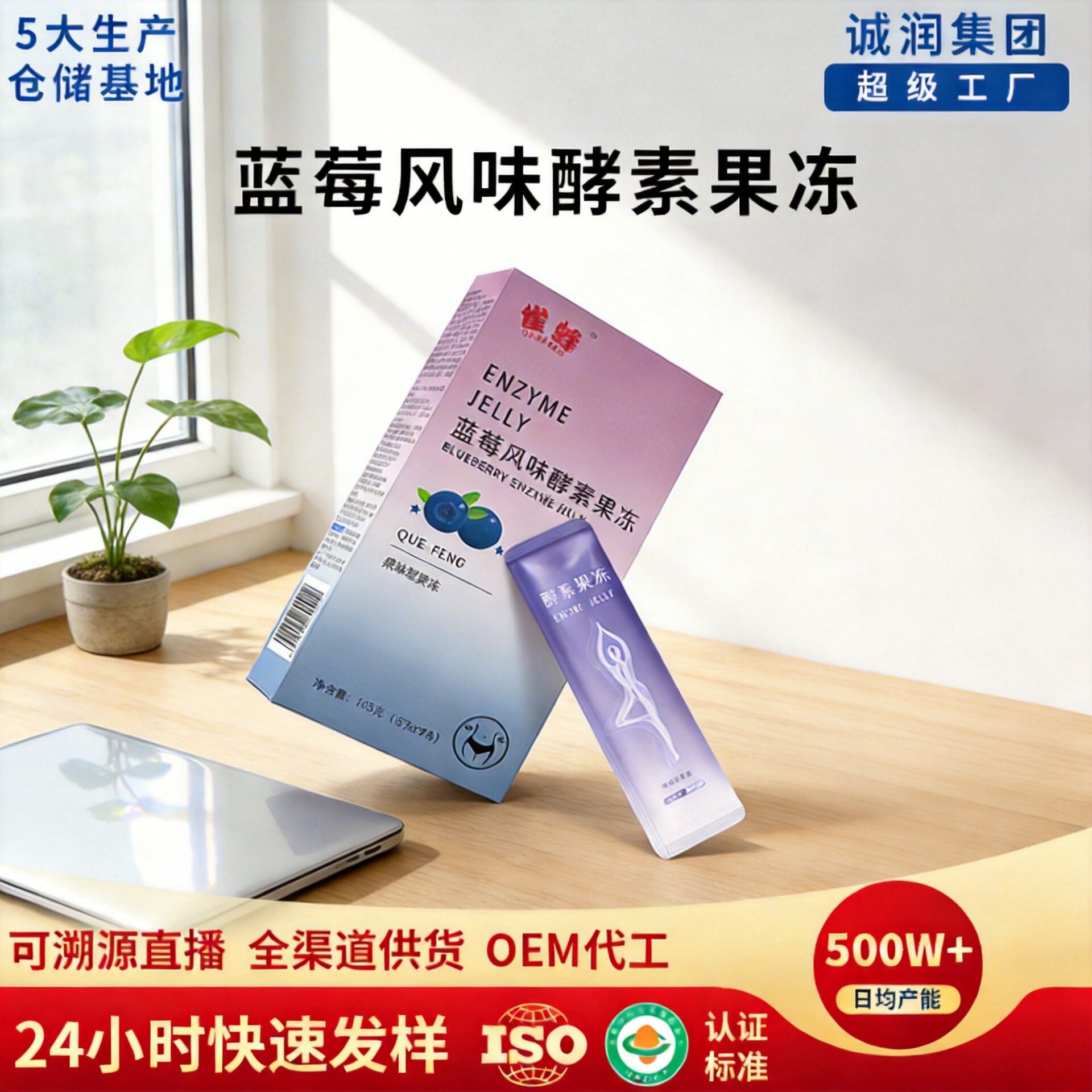 现货代发酵素果冻益生元白芸豆果蔬果冻批发 益生菌蓝莓孝素果冻