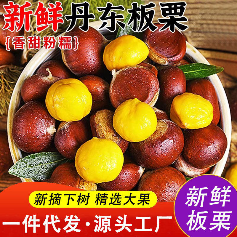 2025新鲜丹东板栗鲜栗子生嫩